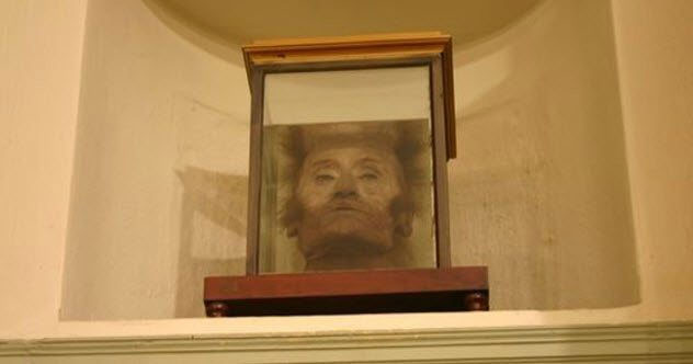 Picture 4 of The story of the most bizarre things ever exhibited in the museum