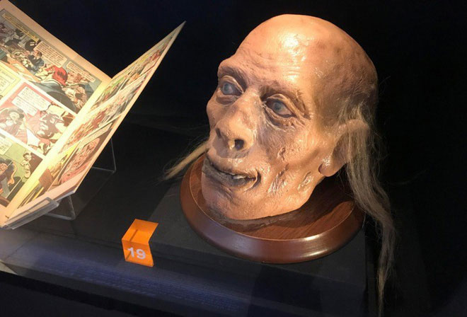Picture 5 of The story of the most bizarre things ever exhibited in the museum