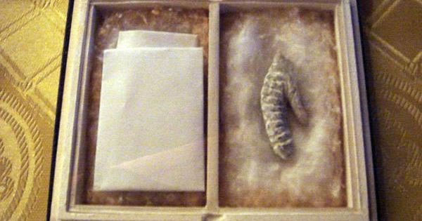 Picture 6 of The story of the most bizarre things ever exhibited in the museum