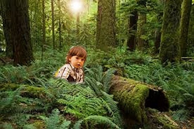 Picture 1 of The story strayed into the underground world of the 5-year-old boy, confusing the scientists