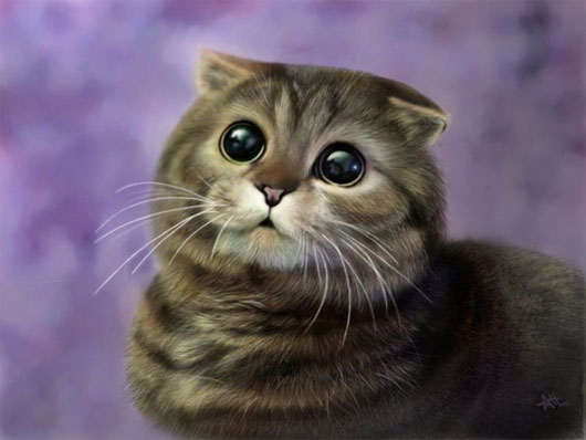 Picture 6 of The 'strange' cats in the world