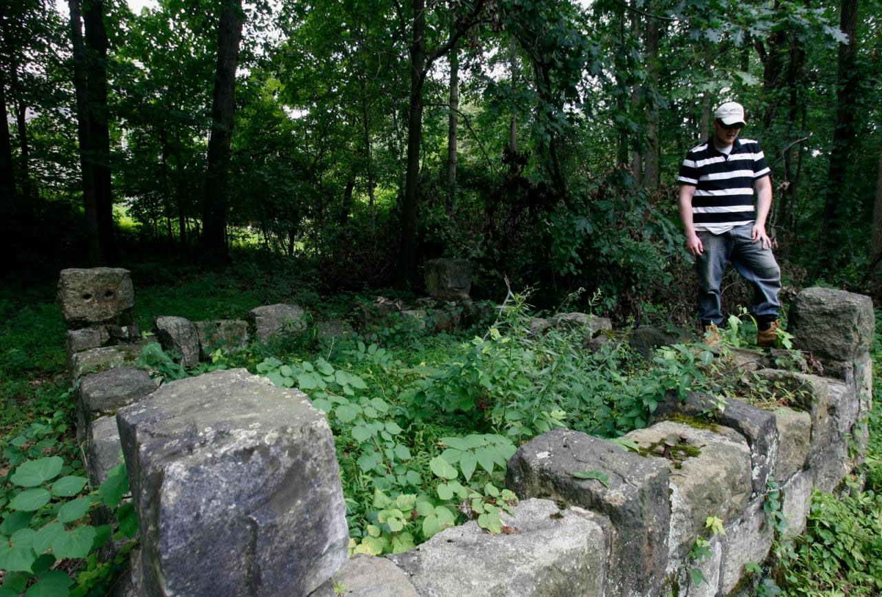 Picture 3 of The strange death of Irish immigrants