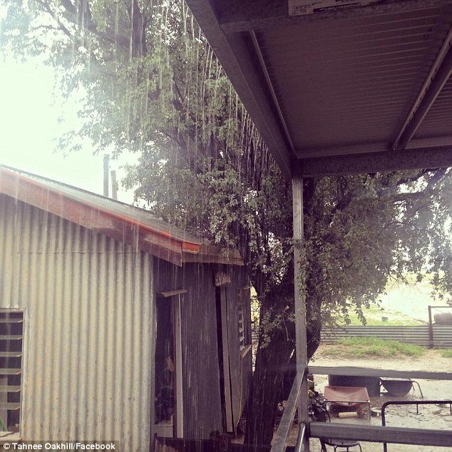 Picture 1 of The strange 'fish rain' surprised the people