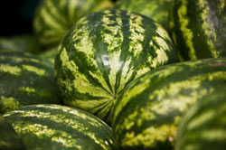 The strange sex life of a melon images 1