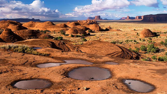 Picture 2 of The strange shrimp live in the desert: The oldest in the planet, 50 years without water and the eggs still hatch well