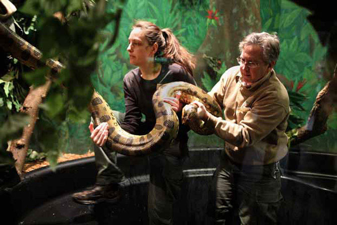 Picture 7 of The strange, weird things of animals you don't know