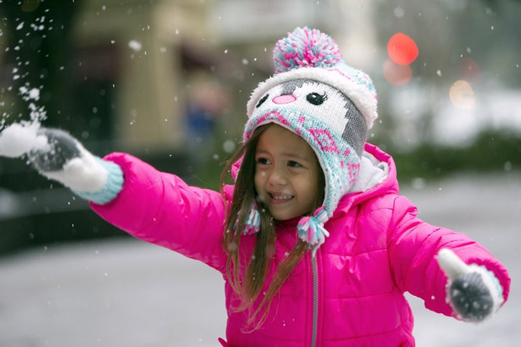 Picture 3 of The strongest snowstorm in 3 decades, Florida first snow