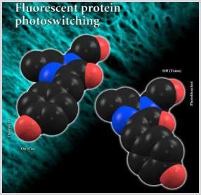 Picture 1 of The structural foundation in the ability to turn off the light of fluorescent protein