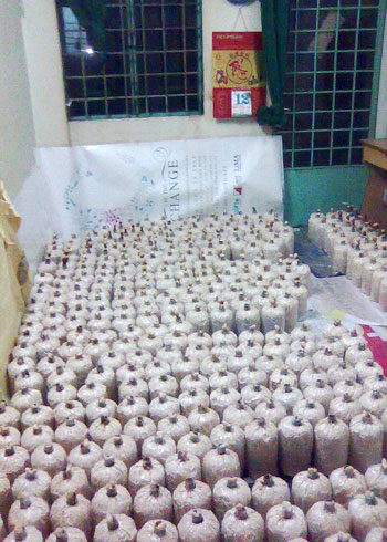 Picture 1 of The student and the dream make the packaging from mushrooms