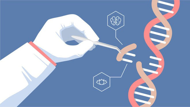 Picture 3 of The study predicted that two girls who had their genes altered would die soon after they were withdrawn, the results unreliable