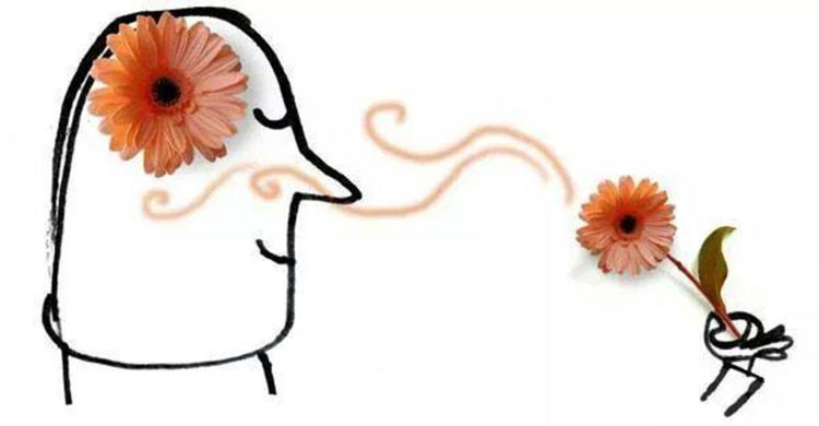 The sudden 'secret' of the human nose images 6