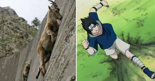 Picture 1 of The 'super beasts' with real esper power that people must certainly envy