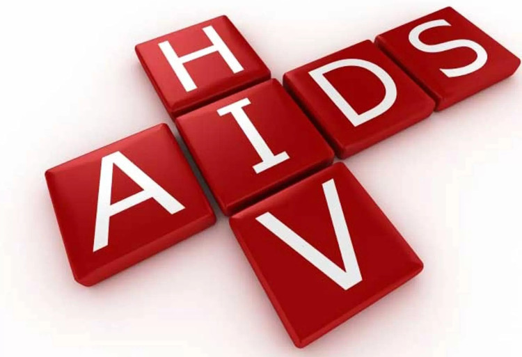 Picture 2 of The supposedly useless immune cells are actually weapons against HIV