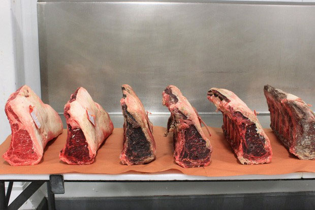 Picture 7 of The surprising fact about the piece of meat for 15 years is still sold for 73 million