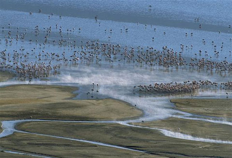 Picture 9 of The surrealist landscapes in the world