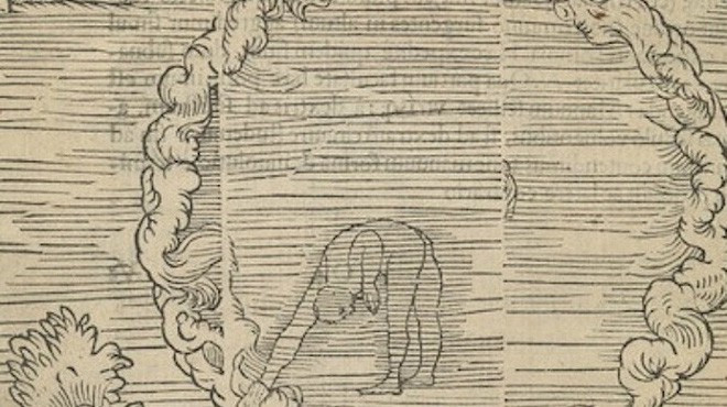 Picture 4 of The swimming book of the 16th century with many useful knowledge, helps to survive when entering the water