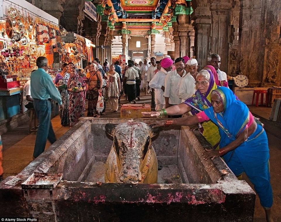 Picture 13 of The temple has 33,000 spectacular statues in India