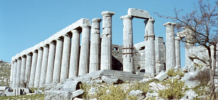 Picture 4 of The temple worshiped Apollo at Bassae