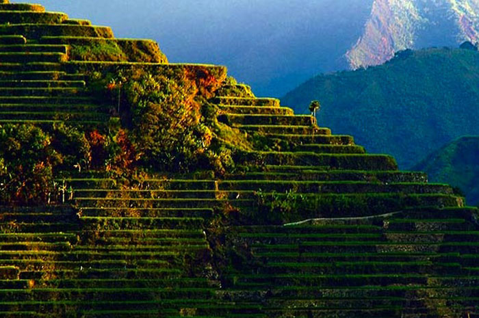 Picture 6 of The terraces at Philippine Cordilleras