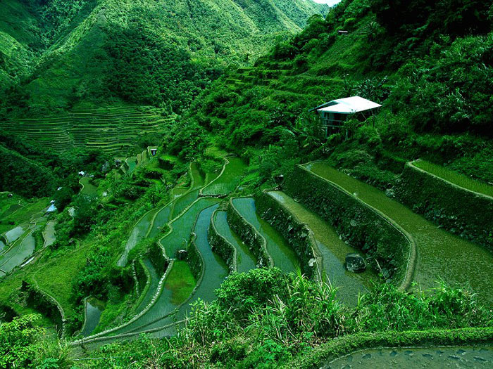 Picture 7 of The terraces at Philippine Cordilleras