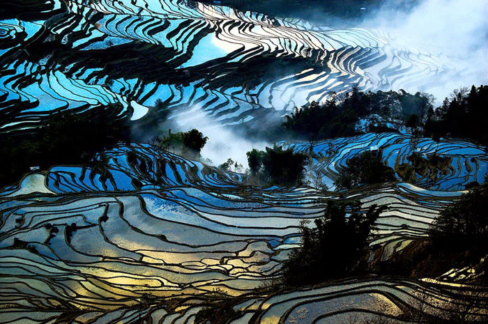 Picture 8 of The terraces at Philippine Cordilleras