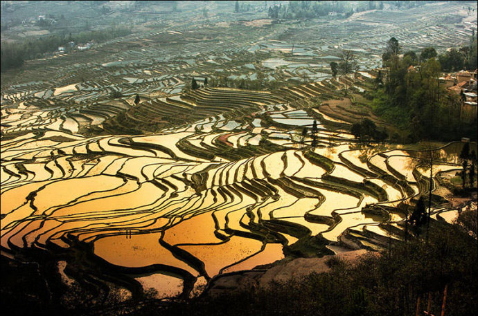 Picture 9 of The terraces at Philippine Cordilleras