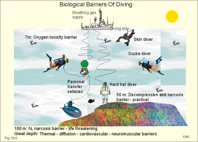 Picture 2 of The terrible bid for people if they go beyond the limits of the sea