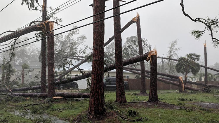 Picture 7 of The terrible devastation of the strongest 50-year storm hit the US East Coast