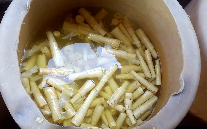 Picture 3 of The terrible effects of yellow umbrella chemicals are used to create color in food