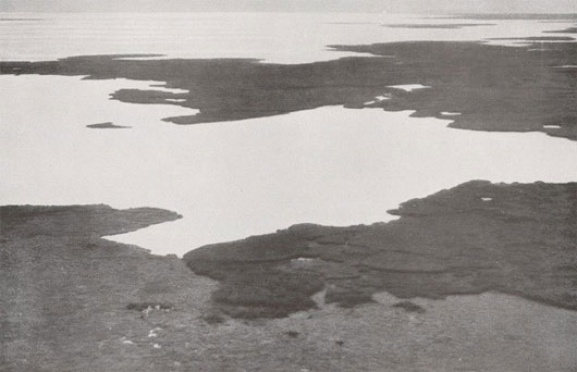 Picture 11 of The terrifying change of the Earth due to climate change