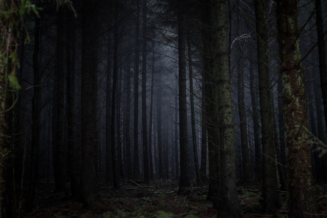 Picture 1 of The theory of 'Dark Forest' and why we still haven't found aliens