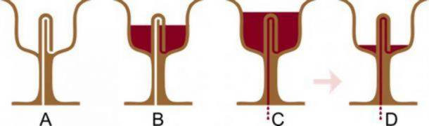 Picture 2 of The thousand-year-old cup knows to swallow alcohol, restrains greed