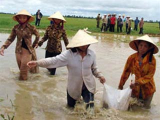 Picture 1 of The threat of climate change for Vietnam and from Vietnam