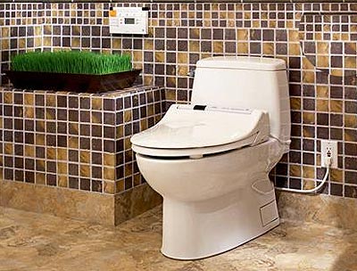 Picture 2 of The toilet does not need toilet paper