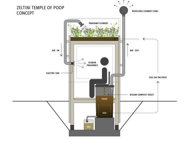 Picture 2 of The toilet uses manure to grow flowers on the roof, then guides the flowers on to the person sitting inside to smell