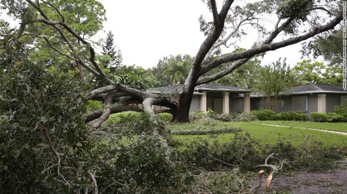Picture 6 of The trail of devastating super typhoon Irma left Florida