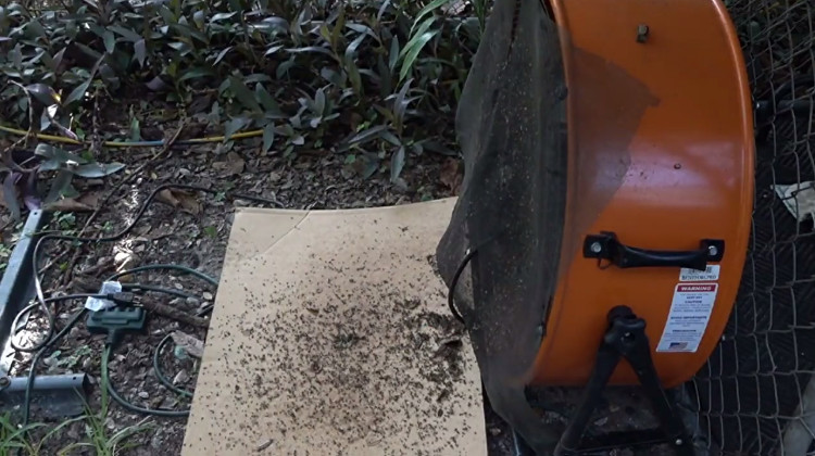 Picture 1 of The trap can destroy 4,000 mosquitoes every night