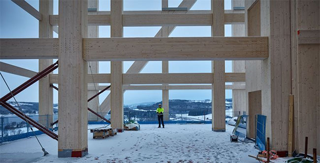 Picture 5 of The trend of building wooden skyscrapers