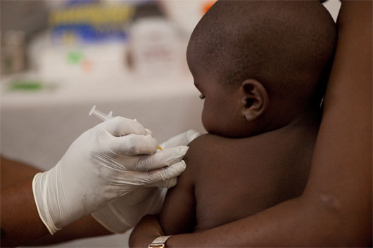 Picture 1 of The trial of malaria vaccine achieved positive results