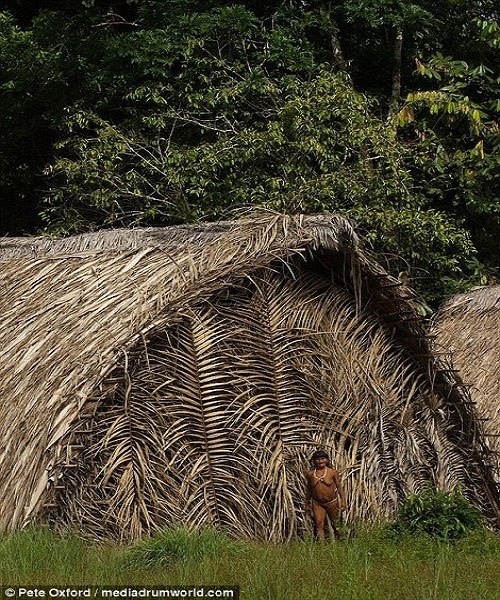 Picture 7 of The tribe is close to the monkey with six fingers, swinging the tree as well as Tarzan