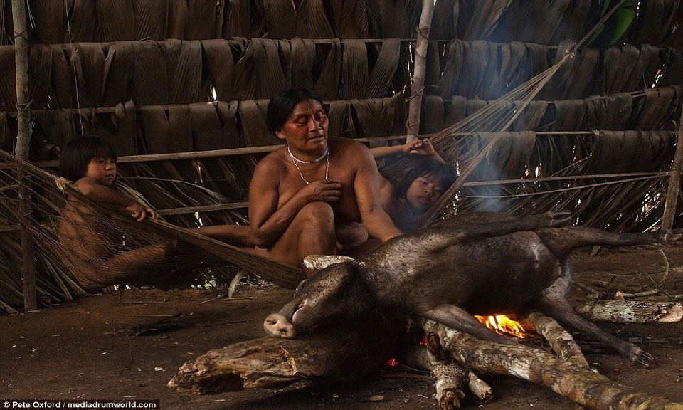 Picture 8 of The tribe is close to the monkey with six fingers, swinging the tree as well as Tarzan