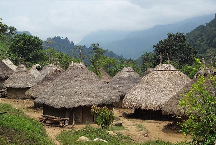Picture 4 of The tribe lived in the deep forest but knew everything that happened throughout the world