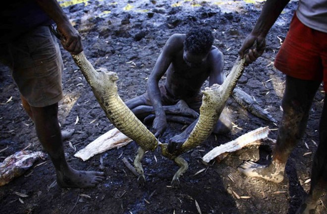 Picture 11 of The tribe of 60,000 years hunted crocodiles in the deep forest