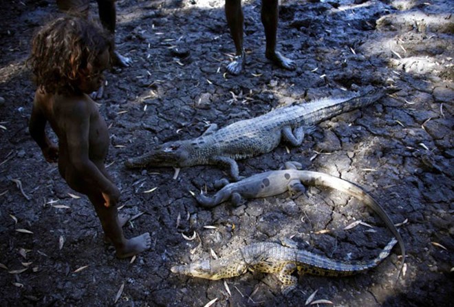 Picture 12 of The tribe of 60,000 years hunted crocodiles in the deep forest