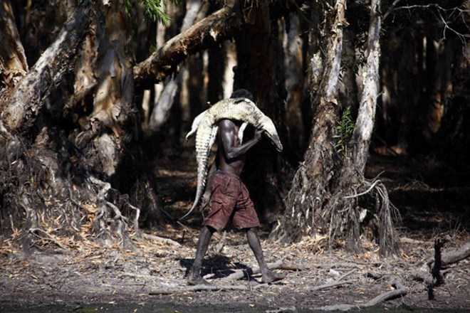Picture 14 of The tribe of 60,000 years hunted crocodiles in the deep forest