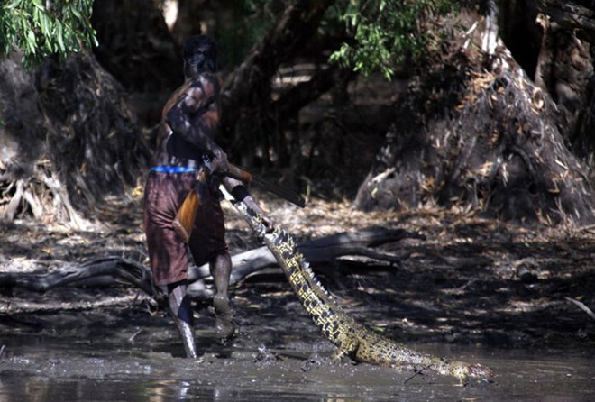 Picture 15 of The tribe of 60,000 years hunted crocodiles in the deep forest