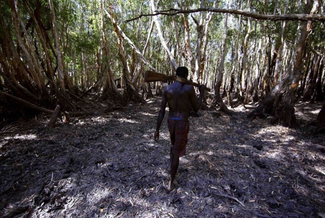 Picture 3 of The tribe of 60,000 years hunted crocodiles in the deep forest