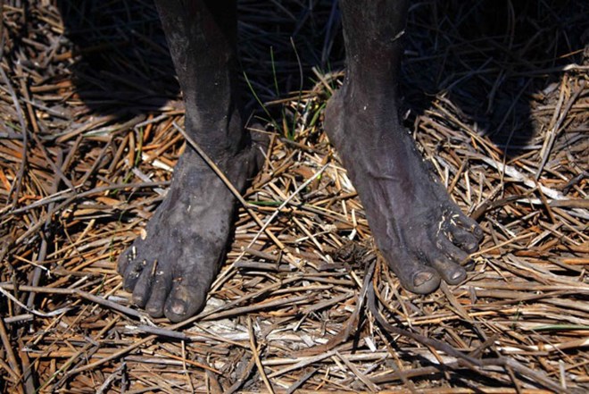 Picture 4 of The tribe of 60,000 years hunted crocodiles in the deep forest