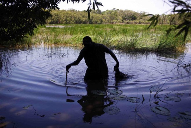 Picture 6 of The tribe of 60,000 years hunted crocodiles in the deep forest