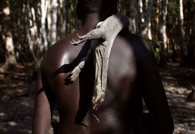 Picture 7 of The tribe of 60,000 years hunted crocodiles in the deep forest